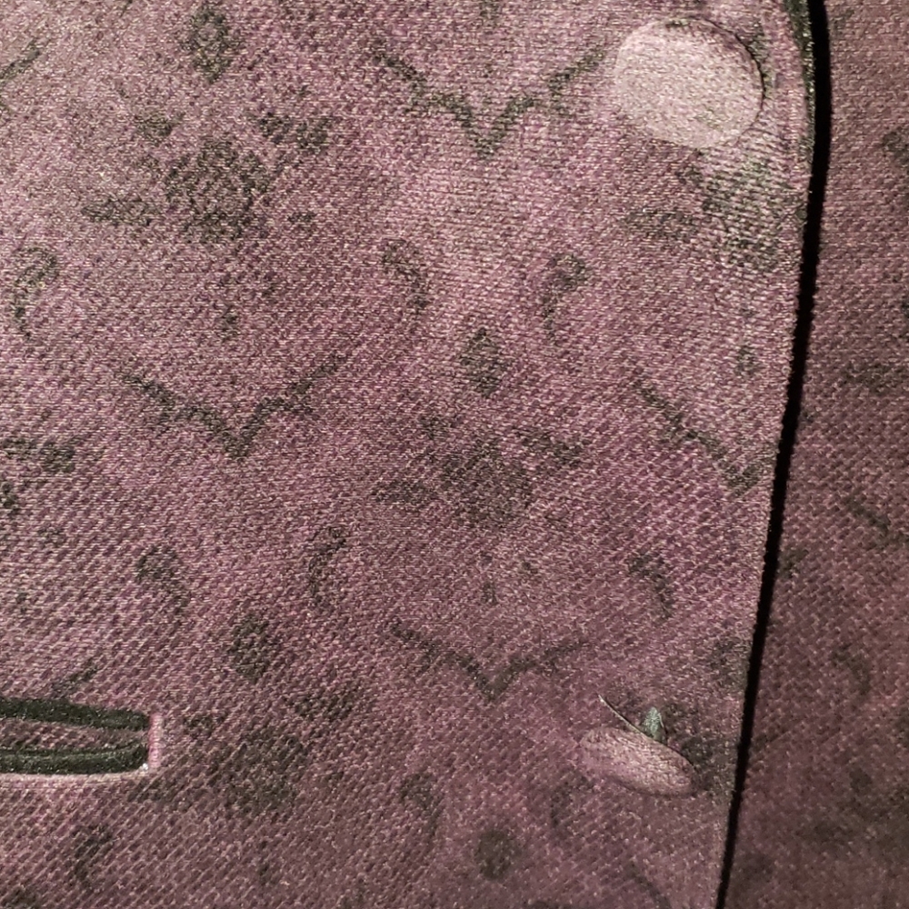 Blazer - Picture 2 of 5